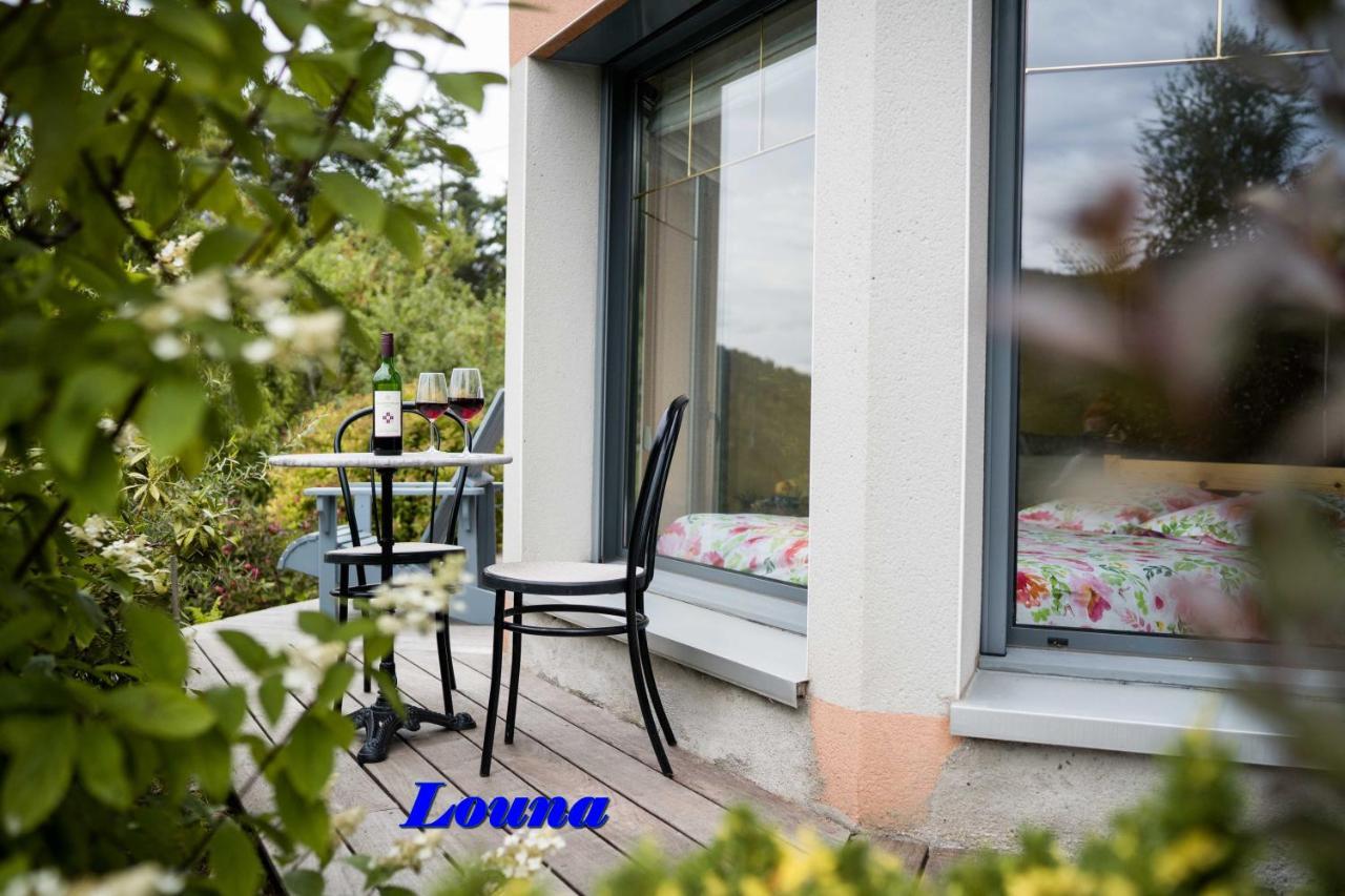 Appartements 5 Personnes Maya Et Louna Xonrupt-Longemer Exterior foto