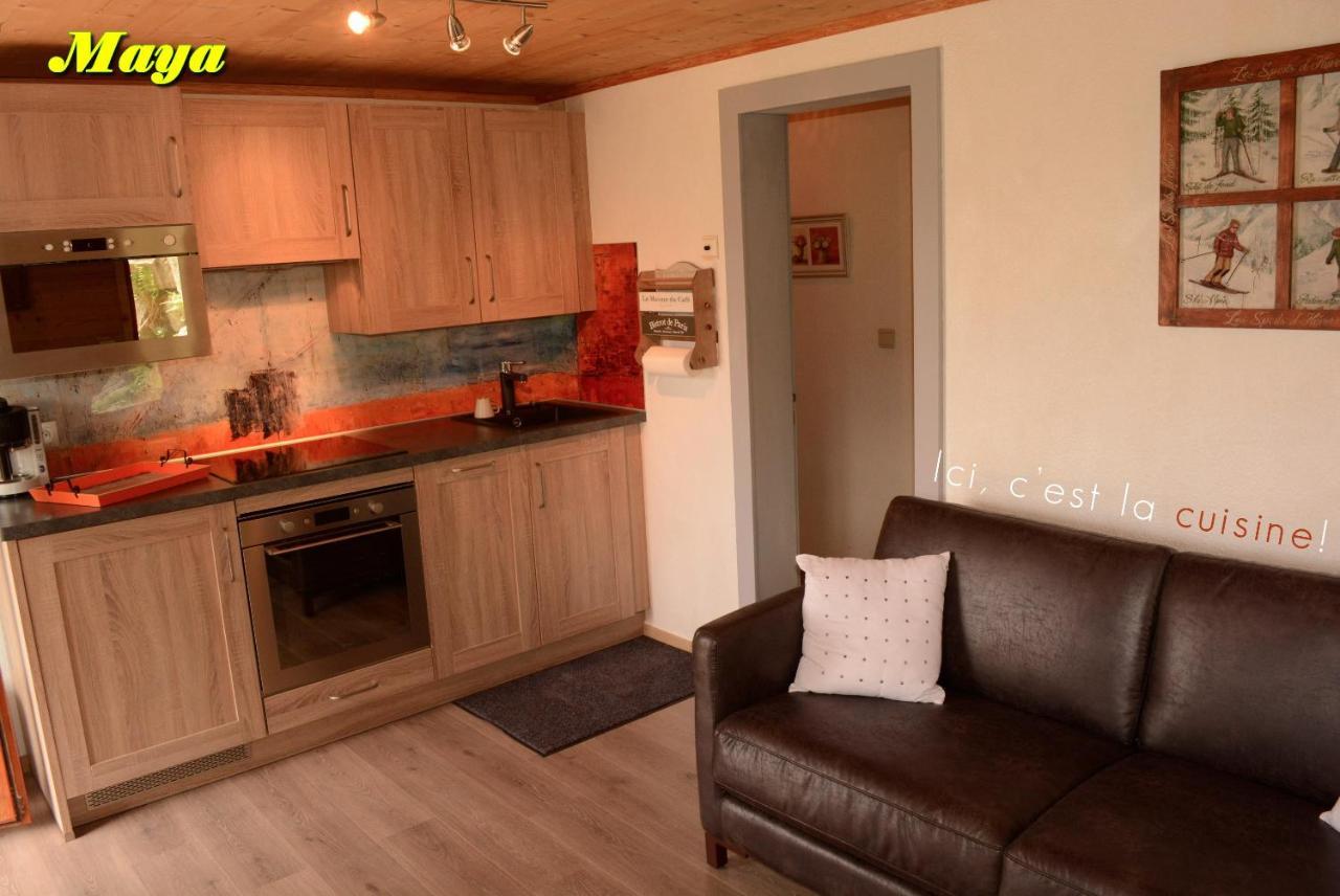 Appartements 5 Personnes Maya Et Louna Xonrupt-Longemer Exterior foto