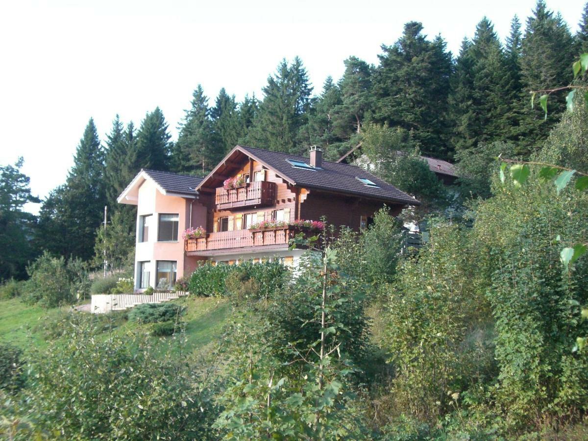 Appartements 5 Personnes Maya Et Louna Xonrupt-Longemer Exterior foto